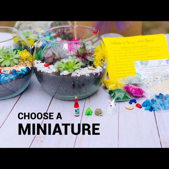 Other Succulent Terrarium Kit Cactus Terrarium Kit Diy Poshmark